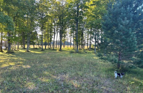McMillan RV Rental | Welcoming campsites in heart of the UP