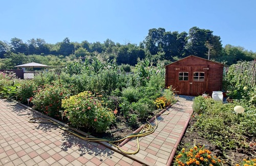 Ocna Sibiului House | Welcoming house with WiFi in charming Ocna Sibiului near the Carpathians