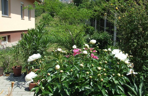 Fonyod House | Well-kept apartment in Fonyod for 4-5 people within walking distance of the lake - new air conditioning