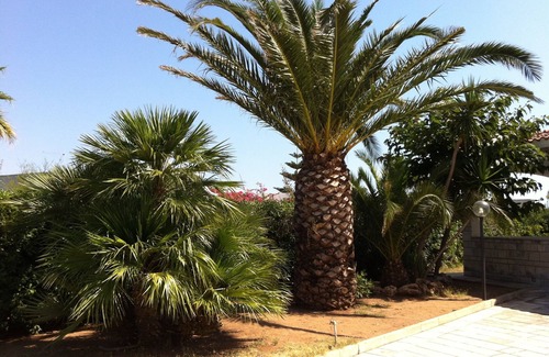 Villanova House | Well maintained house in Mediterranean style, just 450 meters from the sea, 2-6 persons