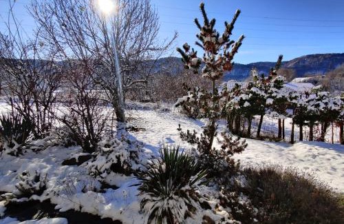 Keutschach am See Apartment | Wellness- HotTub & Sauna- Pet Friendly- Hiking
