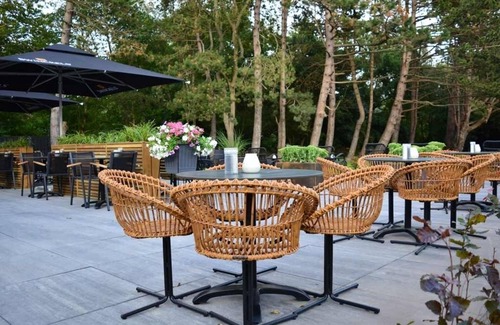 Nieuw-Haamstede Hotel | Wellness Style Unit Near Dunes and Forest Paths with Free Breakfast Daily
