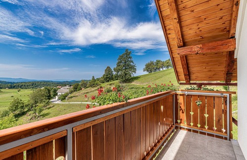 Cesnjice pri Trebelnem House | Wellness Vineyard Cottage Krivic, Trebelno, Slovenia