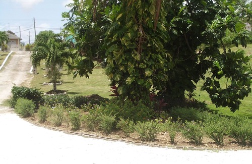 Westmoreland Apartment | West Coast Apartment Hotel is located in Westmoreland, St.James, Barbados