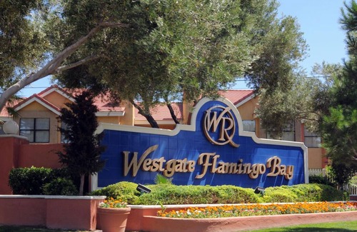 Las Vegas Condo | Westgate Flamingo Bay Resort 1br suite, Sunday check-in