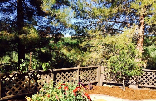 Paso Robles House | Westside Vineyard Property Walking Distance To Wineries Close To Town