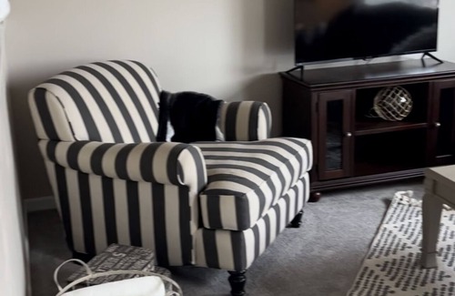 West Fargo House | WF10 NEW listing: Close to EVERYTHING and cute!