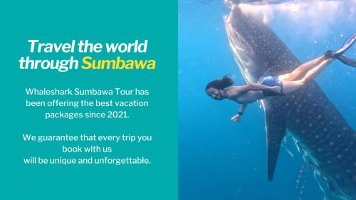 Sumbawa Besar Other | Whale shark Sumbawa Tour