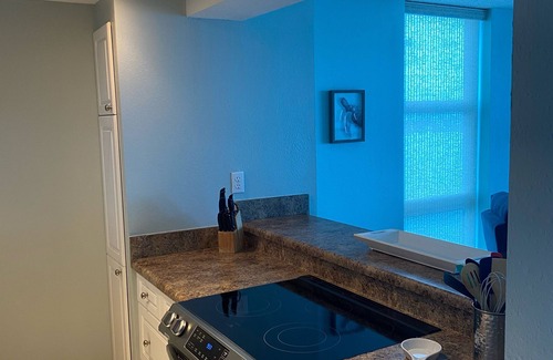 Villa Sabine Condo | What a View and Everything New 5 min Walk to Worlds Whitest Beach #6A