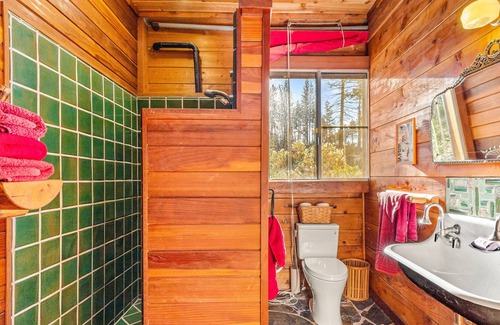 Groveland Cabin | Whimsical outdoor retreat with a pizza oven, firepit, game room, grill, & AC