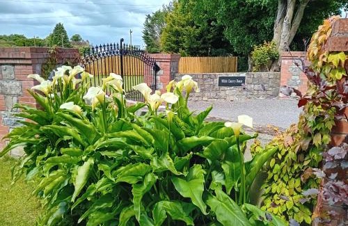 Navan House | White Quarry Hse Quarry Road