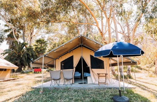 Catalina Island RV Rental | White s Landing Catalina Camp