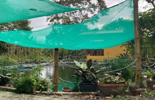 San Carlos Cabin | WiFi+Pool+10min 2 Surf+Nature+Private+Quiet