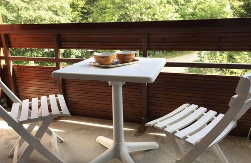 Correncon-en-Vercors Apartment | Wifi, ski-in/ski-out & foot of the slopes, 3rd floor, balcony, tv, 28m², Villard de Lans