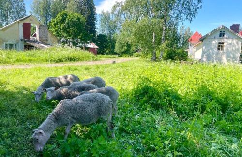 Rantasalmi Bed & Breakfast | Wiisalan Kartano