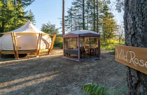 Black Creek RV Rental | Wild Rose Lake Front Glamping and Sauna - Dog friendly Site!