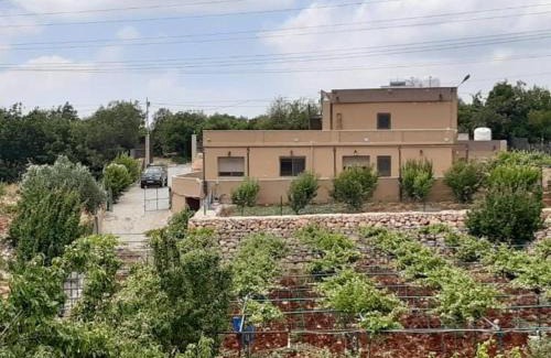 Ajloun Apartment | Wild strawberry Farm Ajloun مزرعة القيقب عجلون