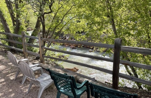 Ouray Condo | Will it be ICE AXE, CRAWLER, NORDIC? 1200MGPS-Mtn Views! On River! BBQ & yard!