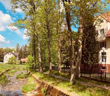 Duszniki Zdroj Villa | Willa Jarzębina