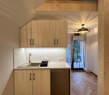 Mieroszyno House | Willa Parys