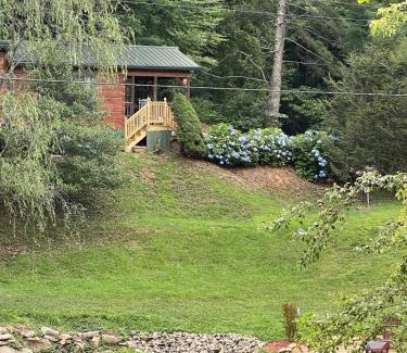 Asheville House | Willow Pond Cabin that is peaceful and quiet