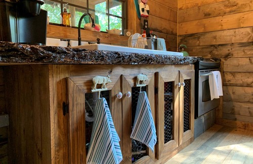 Gilmer Cabin | Willow's Cabin - Cozy Cabin Nestled In The Woods