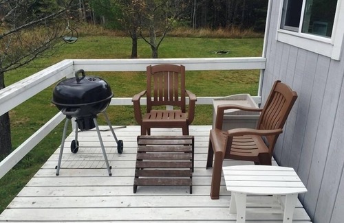 La Pointe Cabin | Willows - 2 Bed/1 Bath Cabin minutes from Downtown La Pointe!