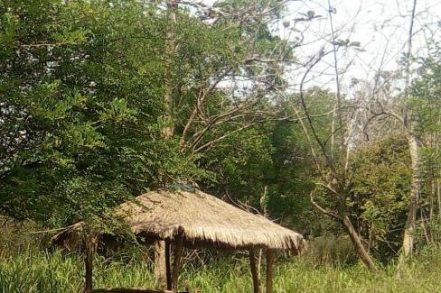 Pahala Maragahawewa House | Wilpattu Buma