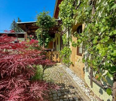 Dohna House | Wohnperle Bauernhaus Meusegast