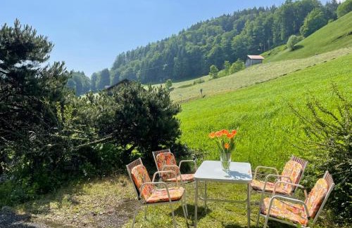 Pfaefers Dorf Apartment | Wohnung in Bergchalet