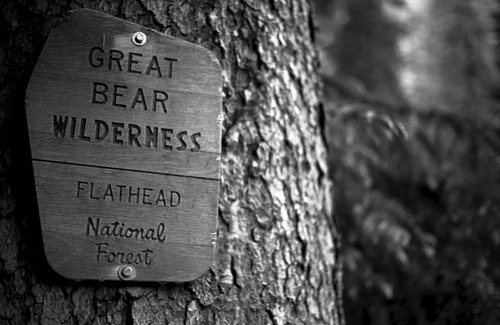 Essex House | Wonderful cabin bordering Glacier National Park and Great Bear Wilderness