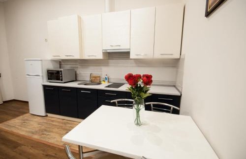 Uzhhorod Apartment | Wonderful flat on city center (Mukachivska 4/14)