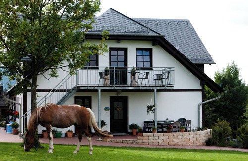 Eibelshausen Apartment | Wonderful hiking trails along the Rothaarsteig directly from Meggi's Farm
