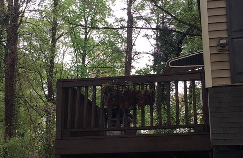 Decatur Apartment | Wonderful, private 1-BR Apartment With Great Deck, Huge Yard