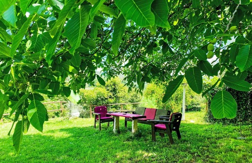 Bagnoregio Villa | Wonderful private villa for 7 people with WIFI and pets allowed