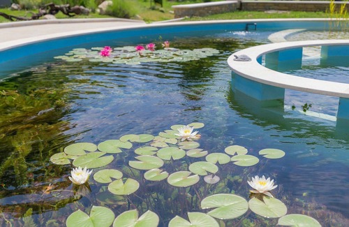 Momjan Villa | Wonderful private villa for 6 guests with private pool, A/C, WIFI, terrace and pets allowed