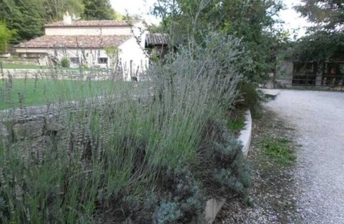 Casalciprano Bed & Breakfast | Wonderful stone farmhouse nestled in nature between forest and stream