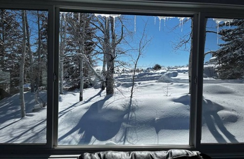 Sweetwater Cabin | Wooded Yard! Ideal Beach Access! Great View of Bear Lake!