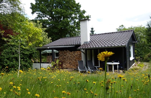 Veckerhagen House | Wooden bungalow in the Reinhardswald nature park with 1,000 m² of land - near Kassel