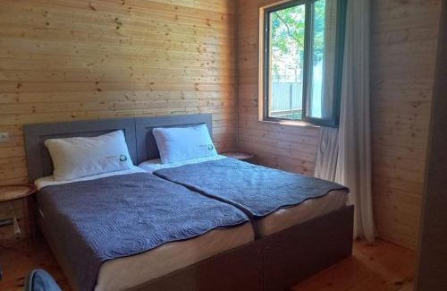Ambrolauri Apartment | Wooden House Marikosi მარიკოს ხის სახლი