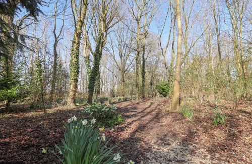 Woodbridge Cottage | WOODLANDS RETREAT SHEPHERD'S HUT, pet friendly in Laxfield