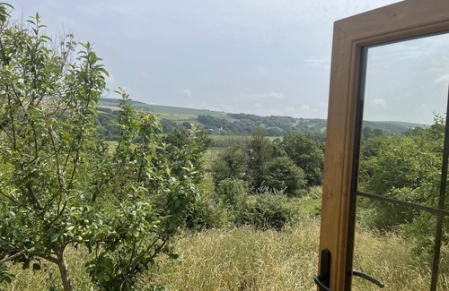 Alfriston Cabin | Woodpecker Hill - apple orchard in Alfriston