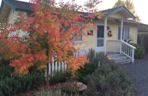 Santa Rosa Cottage | Woolsey Road Cottage -Cozy, Comfy and Fresh Eggs!