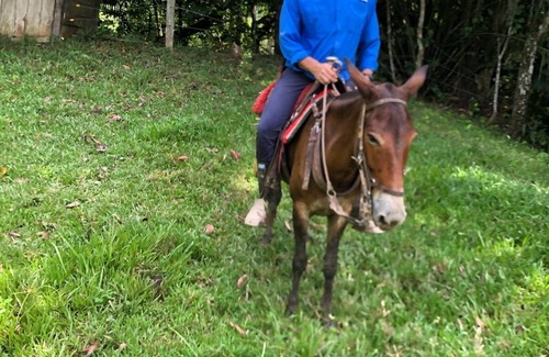 Cimitarra House | Working126 hectares (roughly 300 acres) cattle ranch/finca provided with horses.