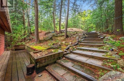 Algonquin Highlands Cottage | Wren Lake Cottage in Algonquin Highlands