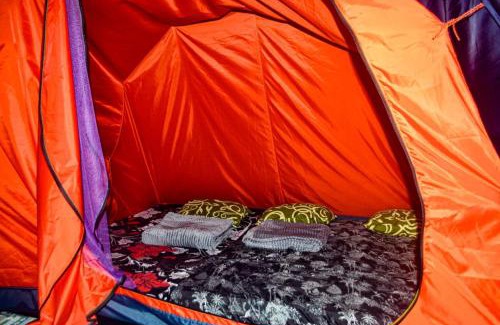 Pangalengan Other | wulandari reverside camping ground pinus singkur
