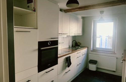 Schwaebisch Hall Apartment | Wunderschöne Loftwohnung mit Dachterrasse