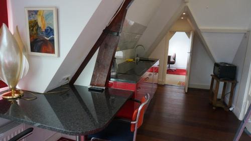 Apollobuurt Bed & Breakfast | Xaviera's Bed and Breakfast