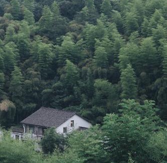 Moganshan Hotel | Xipo Moganshan Resort Homestay