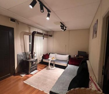 Catalca House | Yıldız Şifa Çitlik Evi